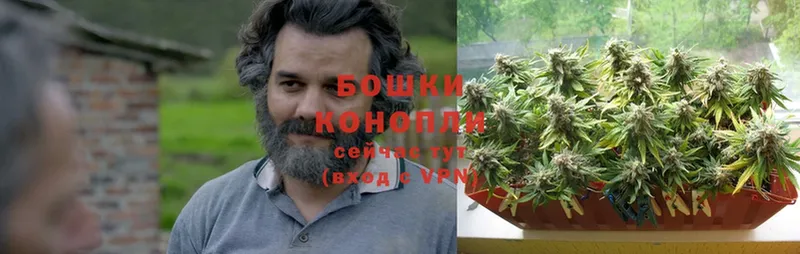 купить наркотики цена  Воркута  Каннабис SATIVA & INDICA 